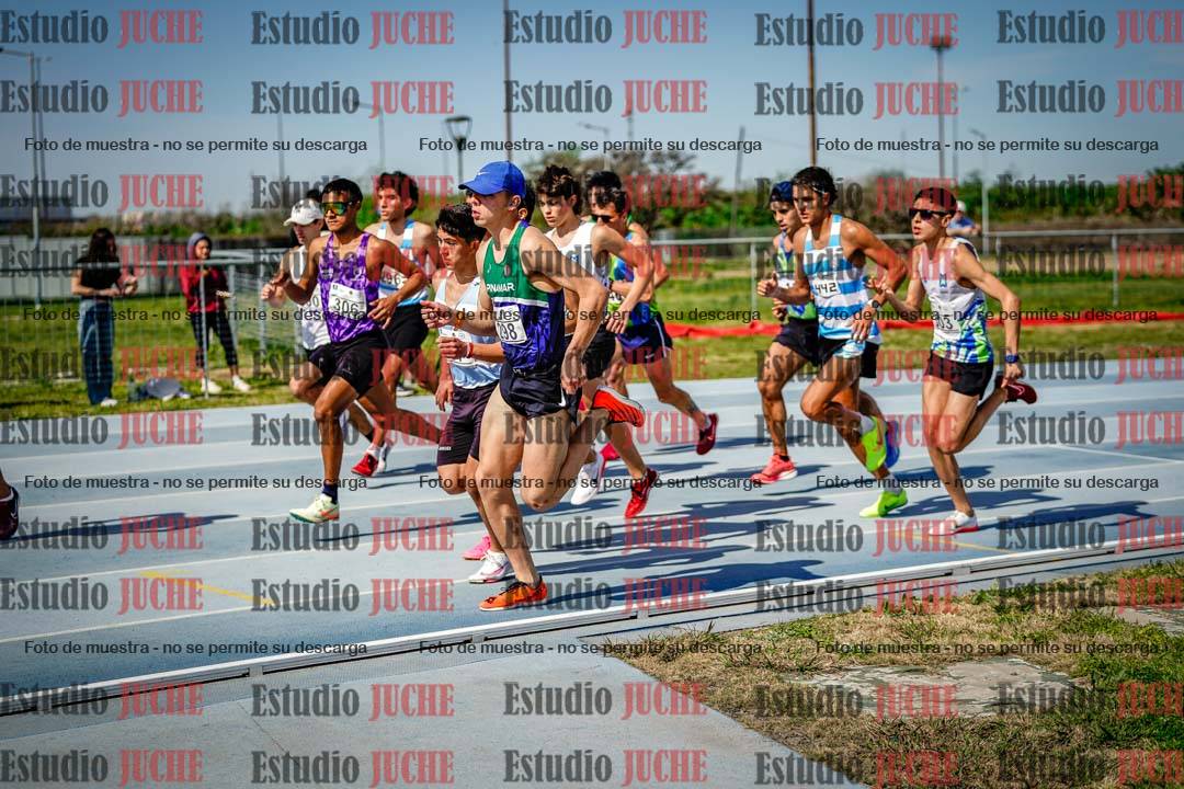 Fotos de los 3000 m llanos de varones