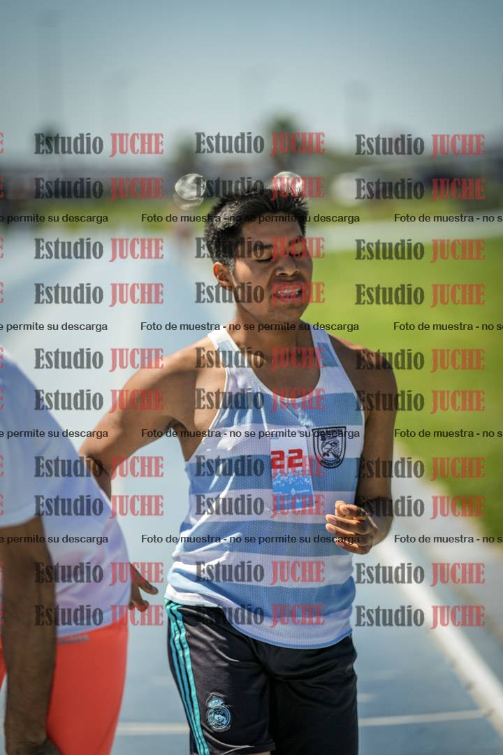Fotos de los 800 m llanos de varones