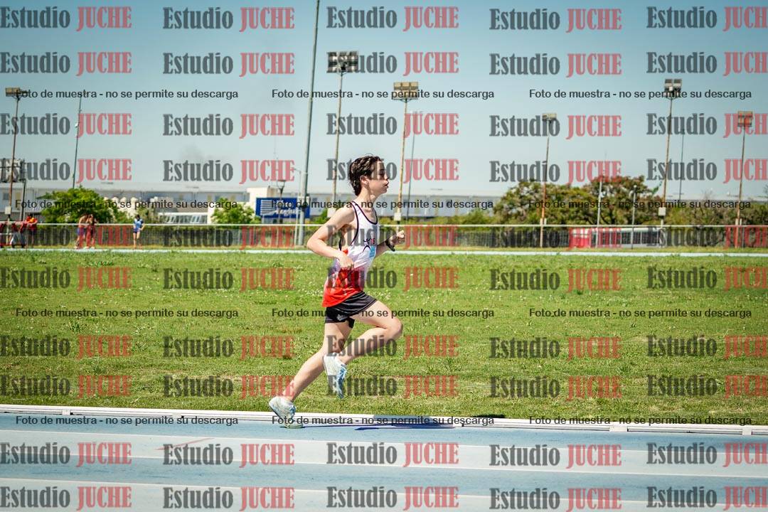 Fotos de los 800 m llanos de varones