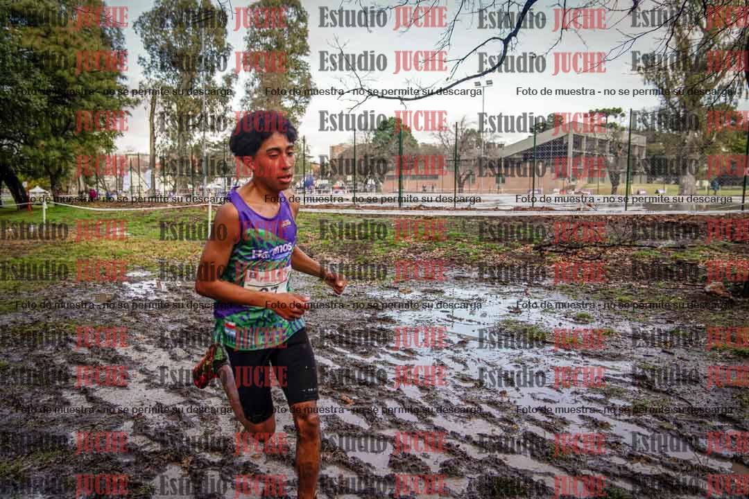 Fotos en el circuito