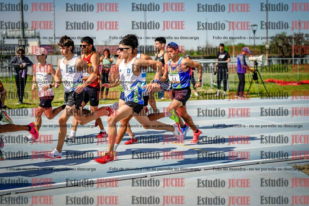 Fotos de los 3000 m llanos de varones