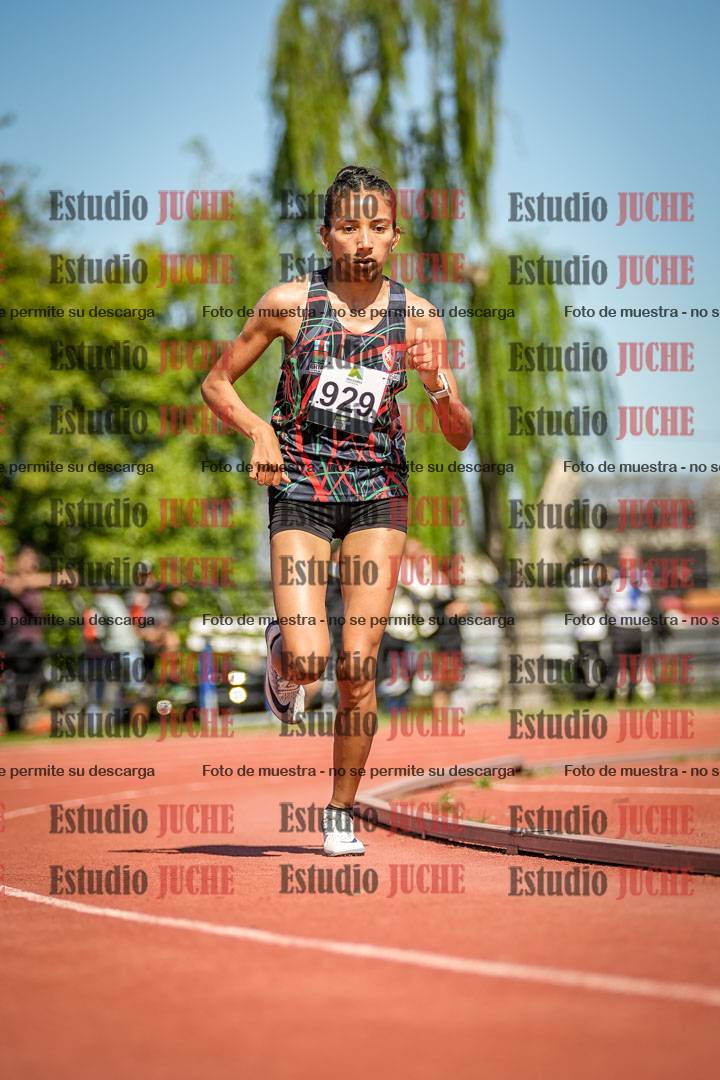 Fotos de los 5000 m llanos de mujeres