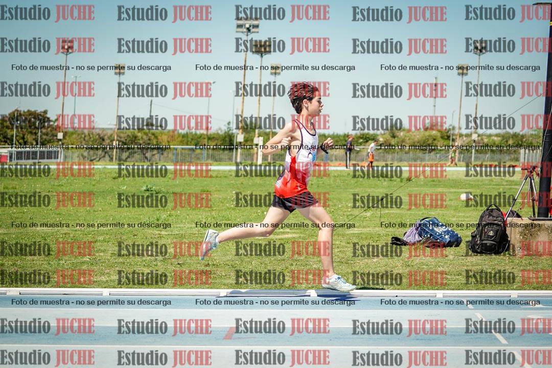 Fotos de los 800 m llanos de varones