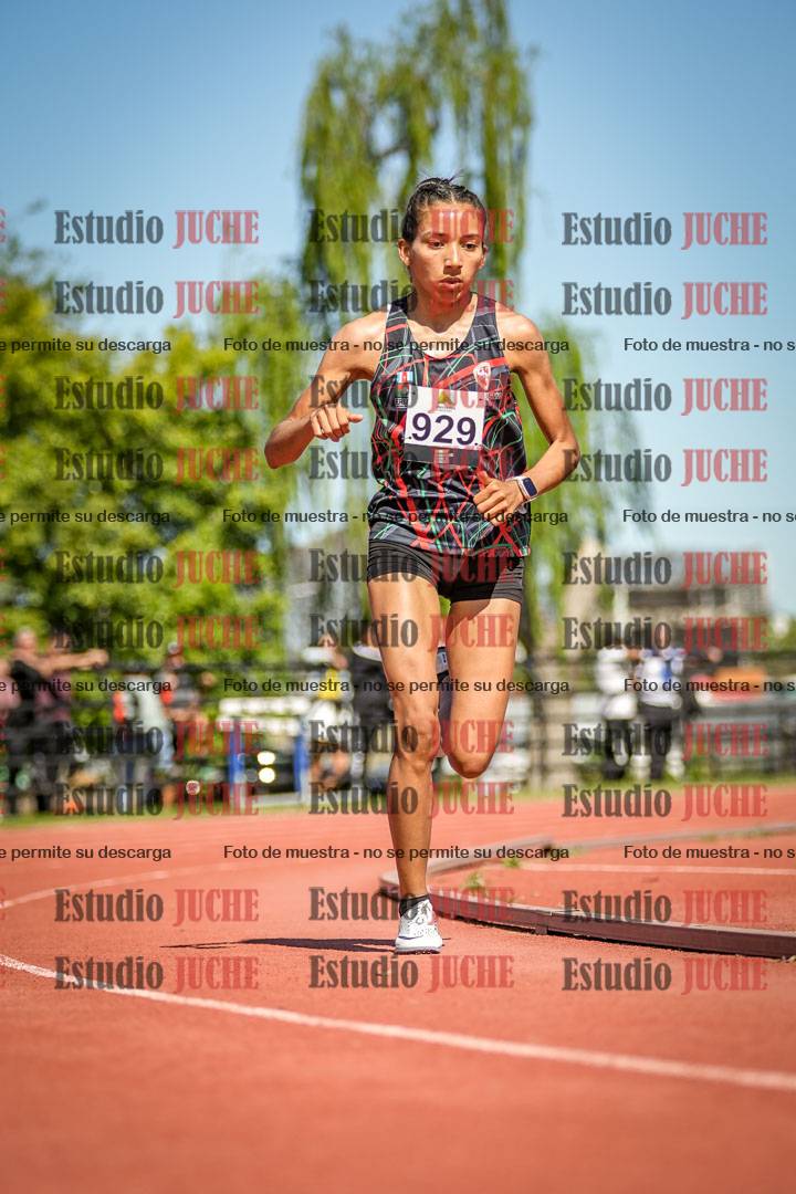 Fotos de los 5000 m llanos de mujeres