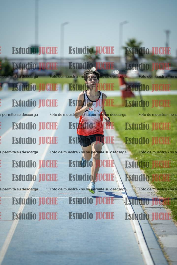 Fotos de los 800 m llanos de varones