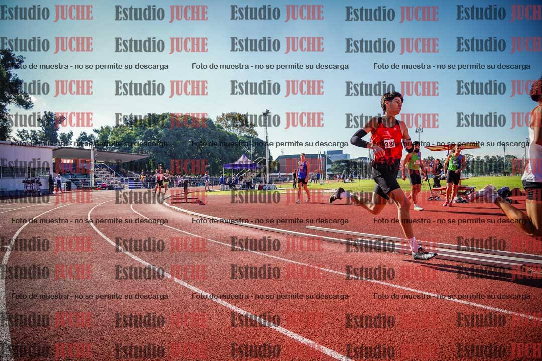 Fotos de los 800 m llanos de varones