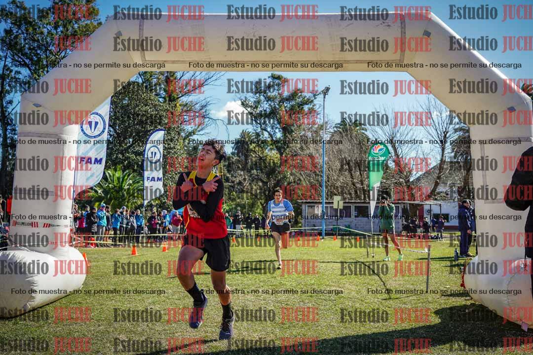 Fotos de la llegada del cross de 1500 m