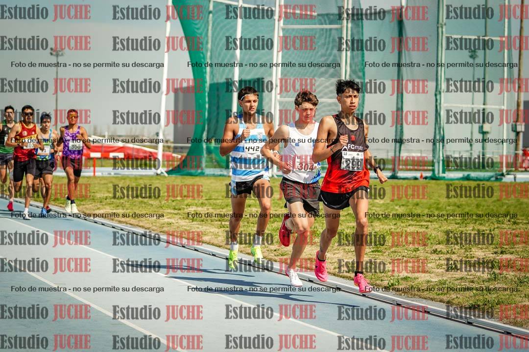 Fotos de los 3000 m llanos de varones