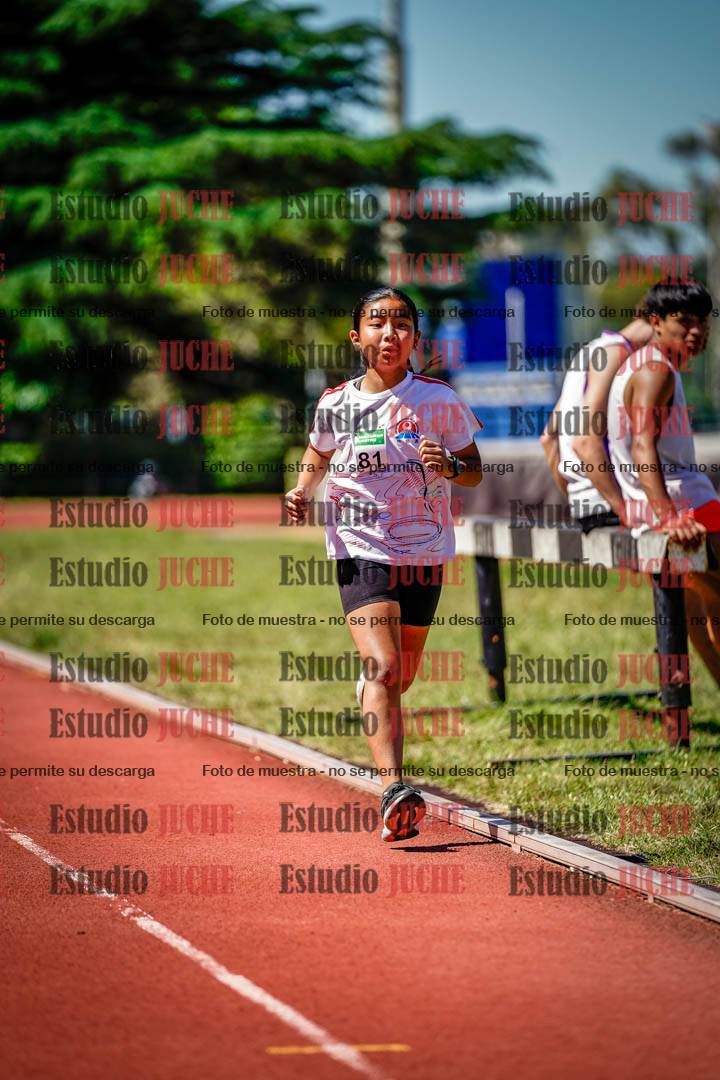 Fotos de los 1000 m llanos de mujeres