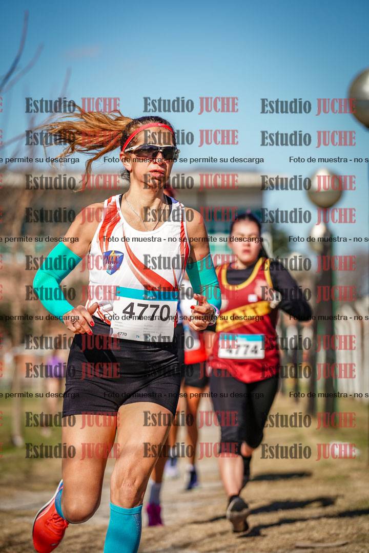 Fotos en el circuito