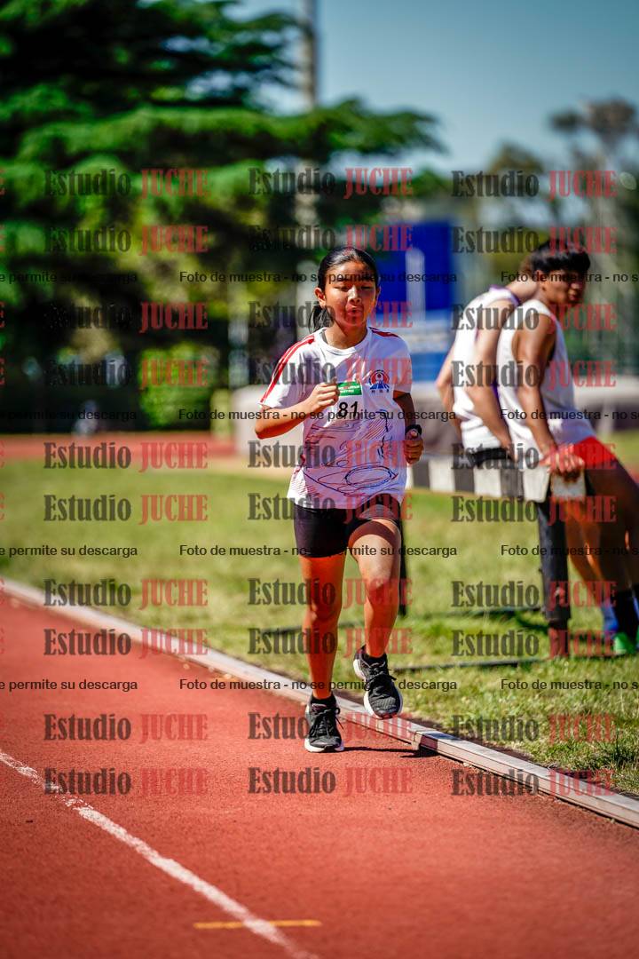 Fotos de los 1000 m llanos de mujeres