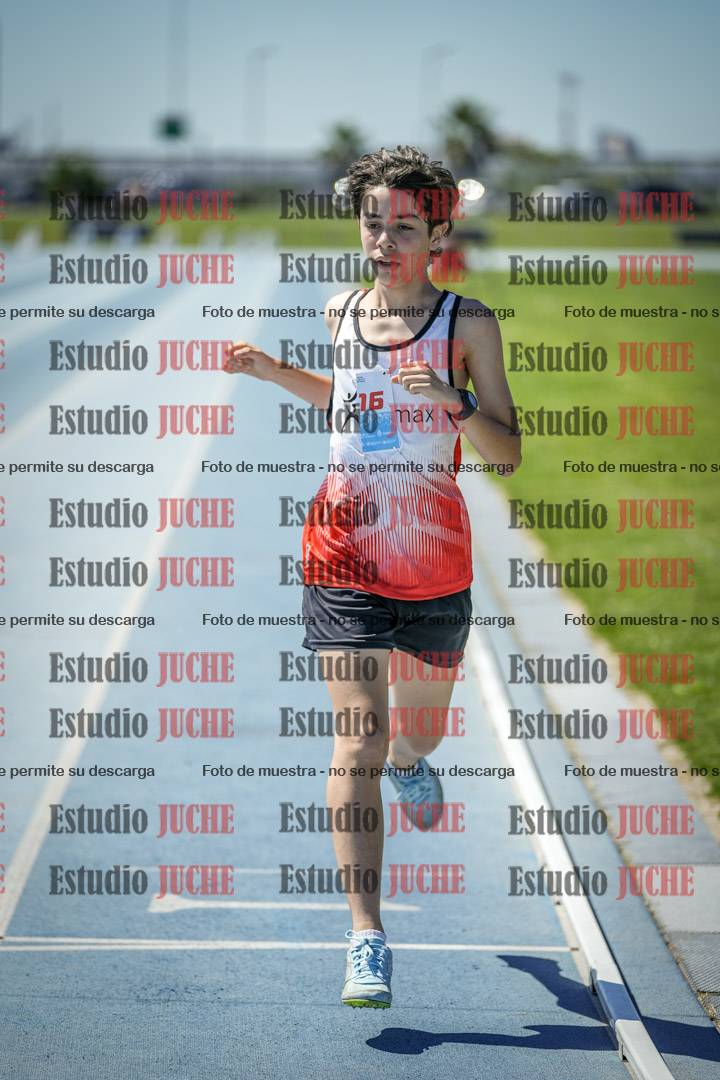 Fotos de los 800 m llanos de varones