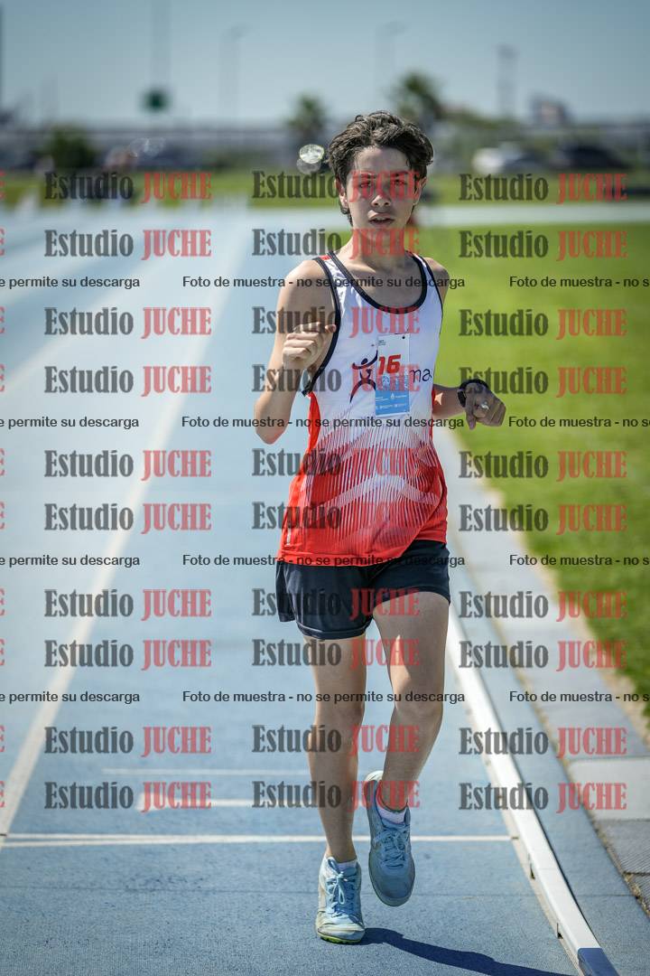 Fotos de los 800 m llanos de varones