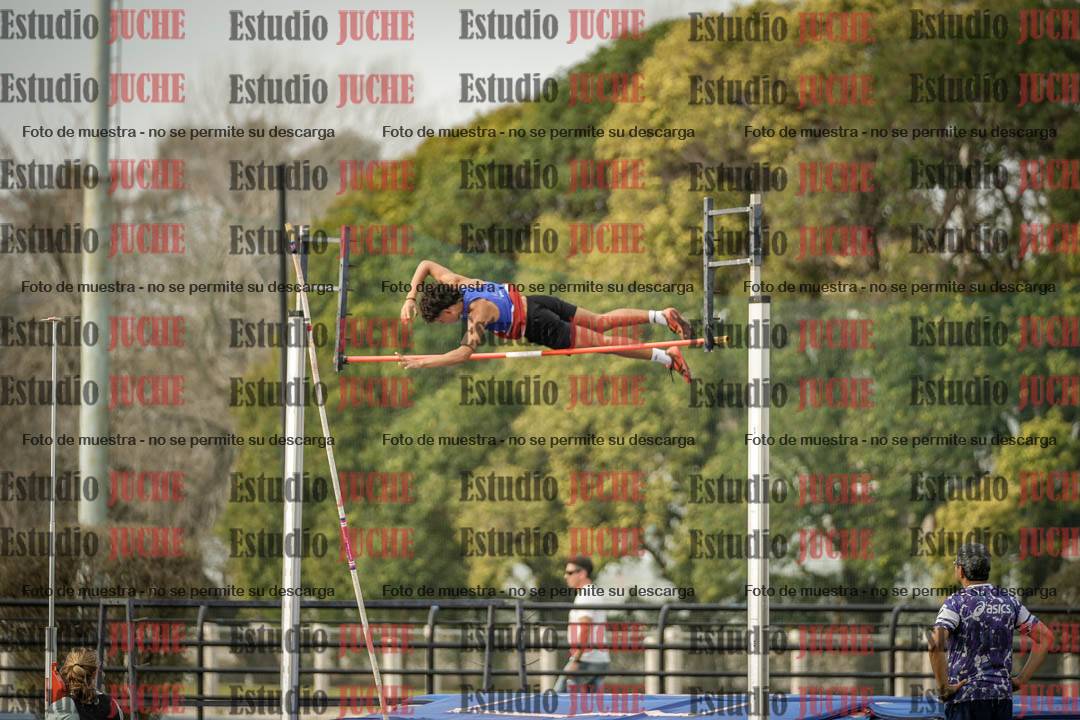 Fotos del salto con garrocha de varones