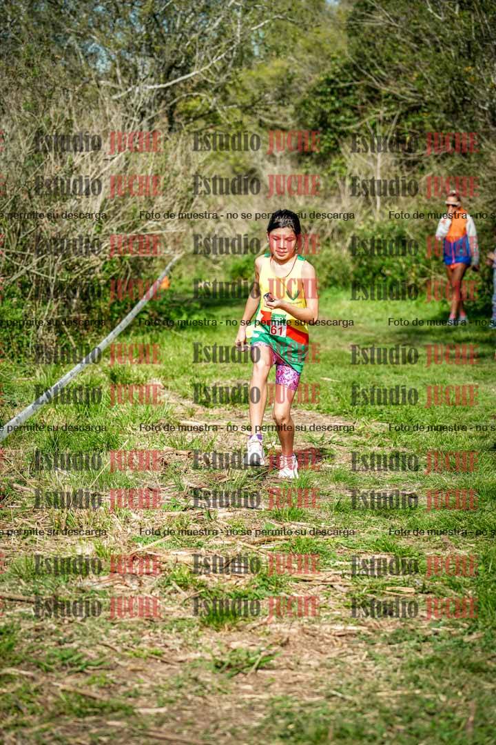 Fotos en el circuito