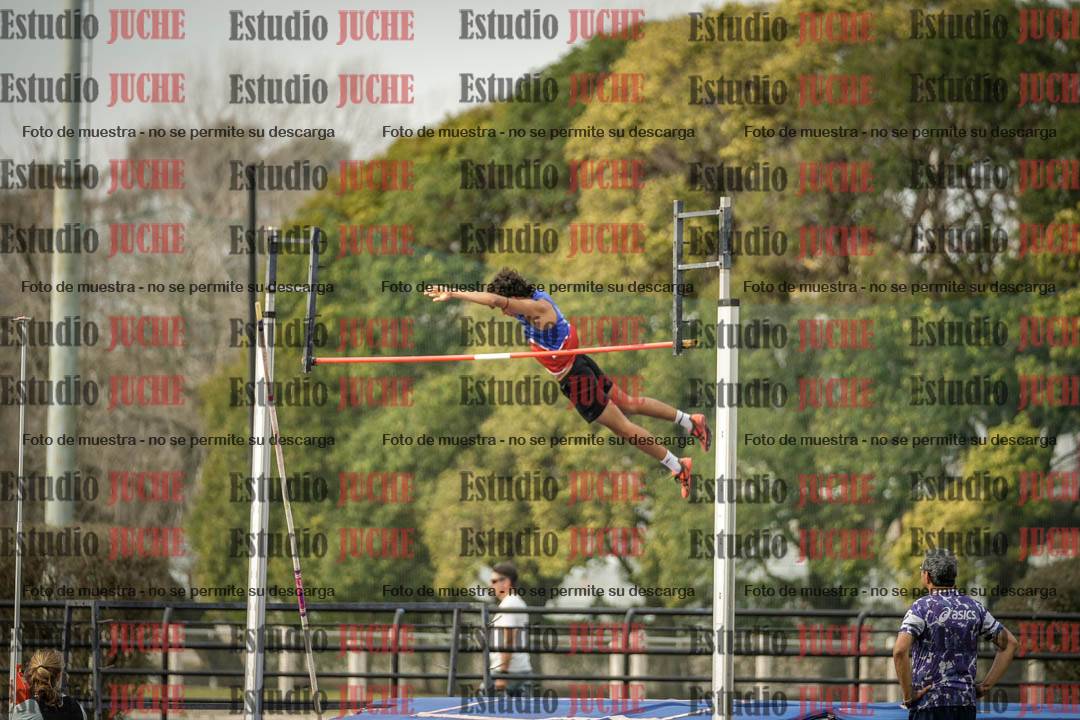 Fotos del salto con garrocha de varones