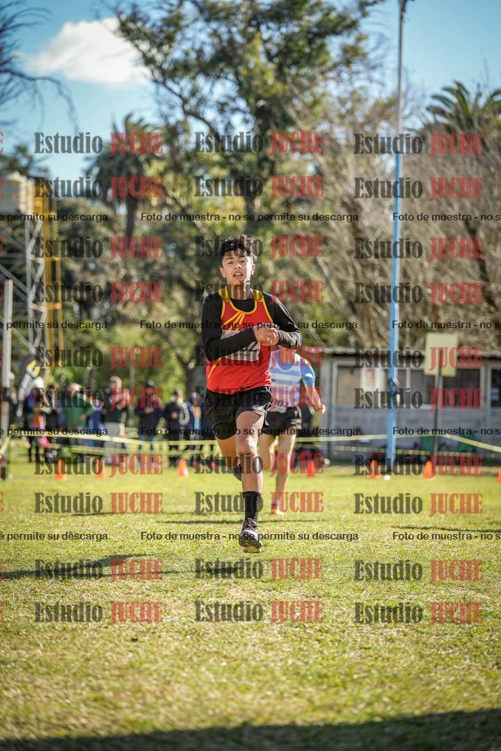 Fotos de la llegada del cross de 1500 m