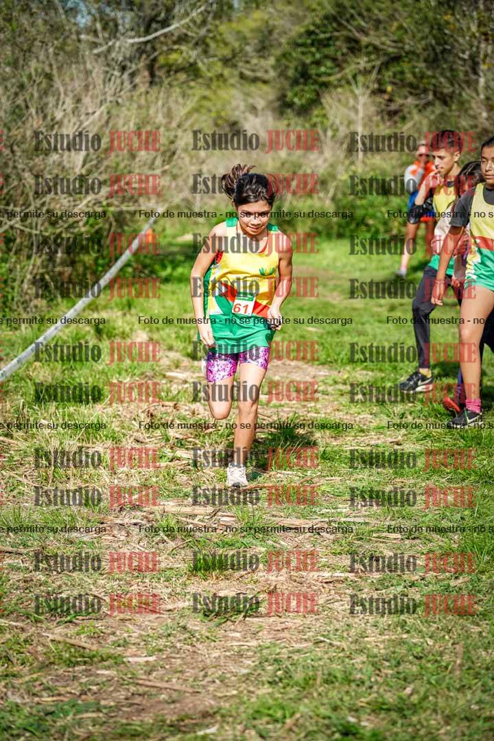 Fotos en el circuito