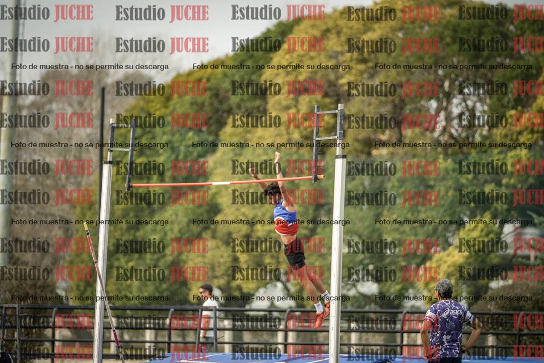 Fotos del salto con garrocha de varones