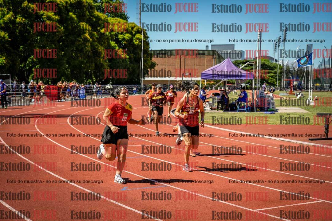 Fotos de los 800 m llanos de mujeres