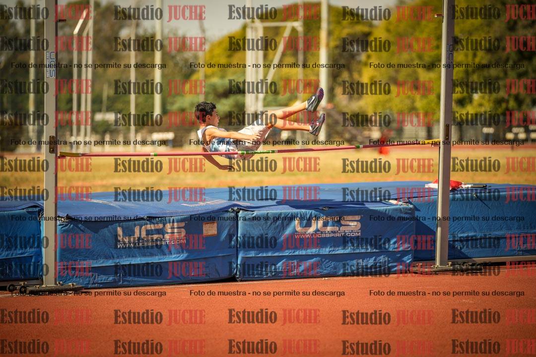 Fotos del salto en alto de varones