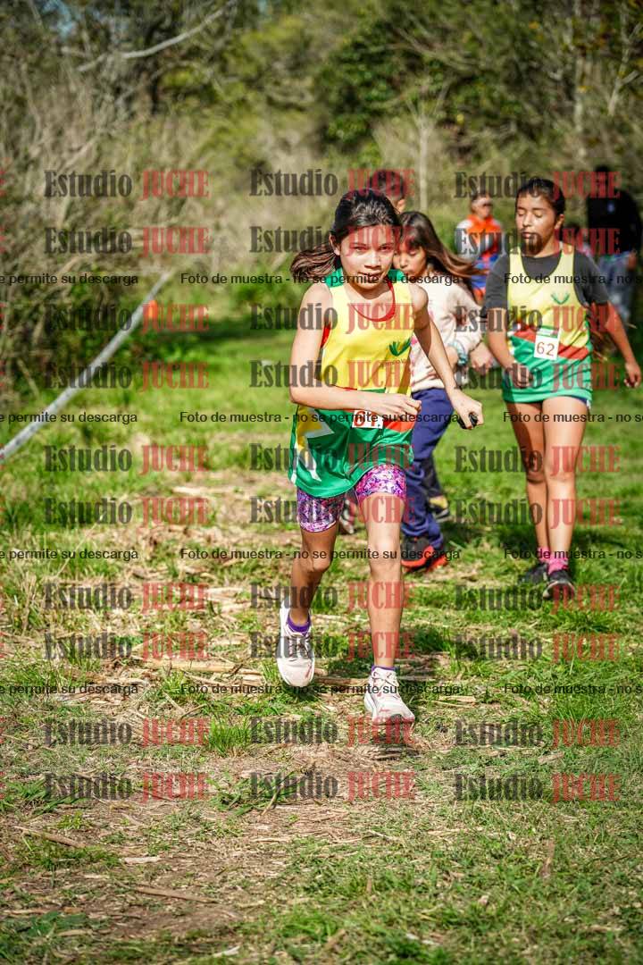 Fotos en el circuito