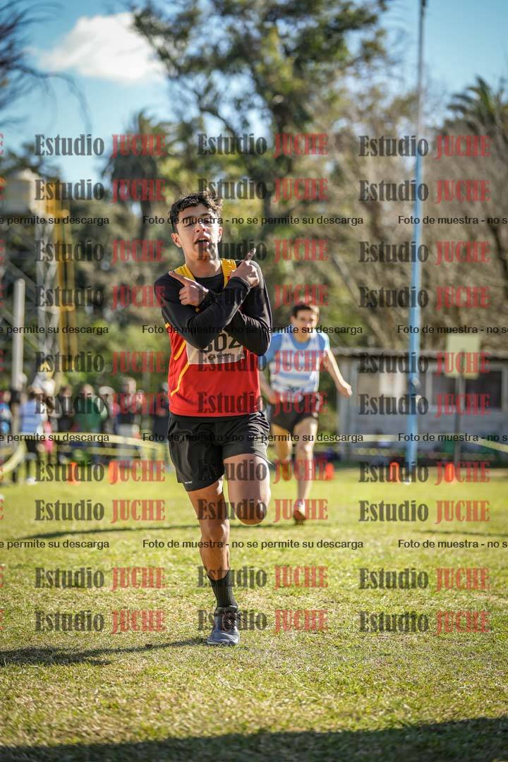 Fotos de la llegada del cross de 1500 m