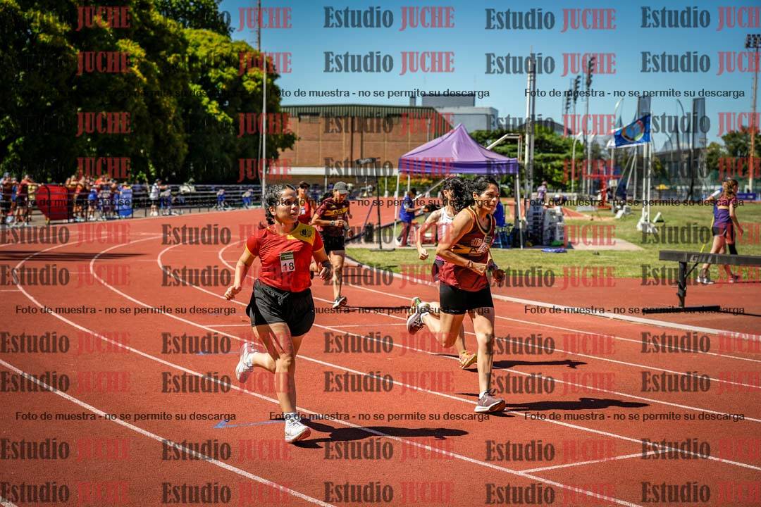 Fotos de los 800 m llanos de mujeres