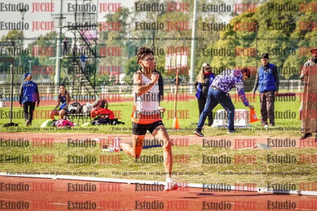 Fotos de los 800 m llanos de varones