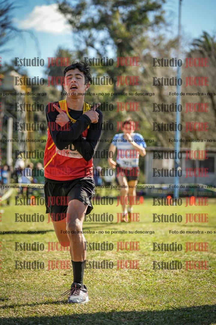 Fotos de la llegada del cross de 1500 m