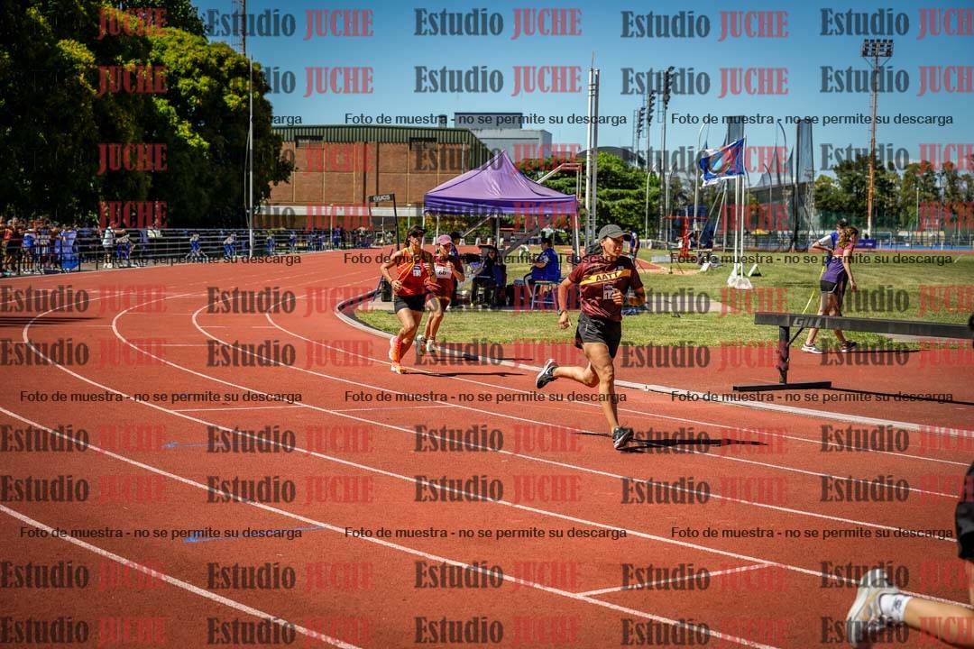 Fotos de los 800 m llanos de mujeres