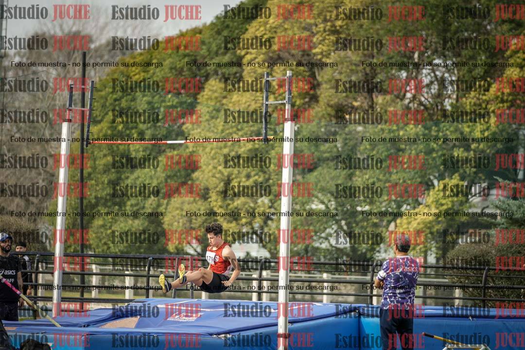Fotos del salto con garrocha de varones
