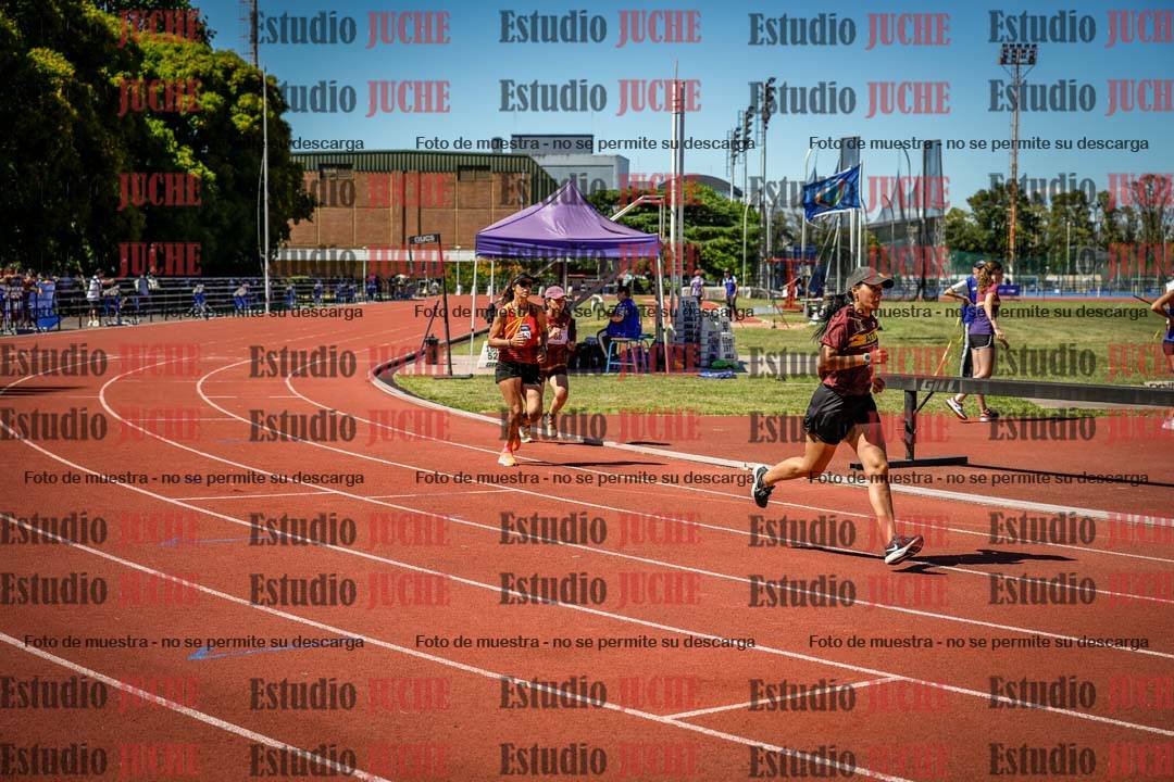 Fotos de los 800 m llanos de mujeres