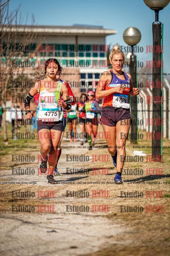 Fotos en el circuito