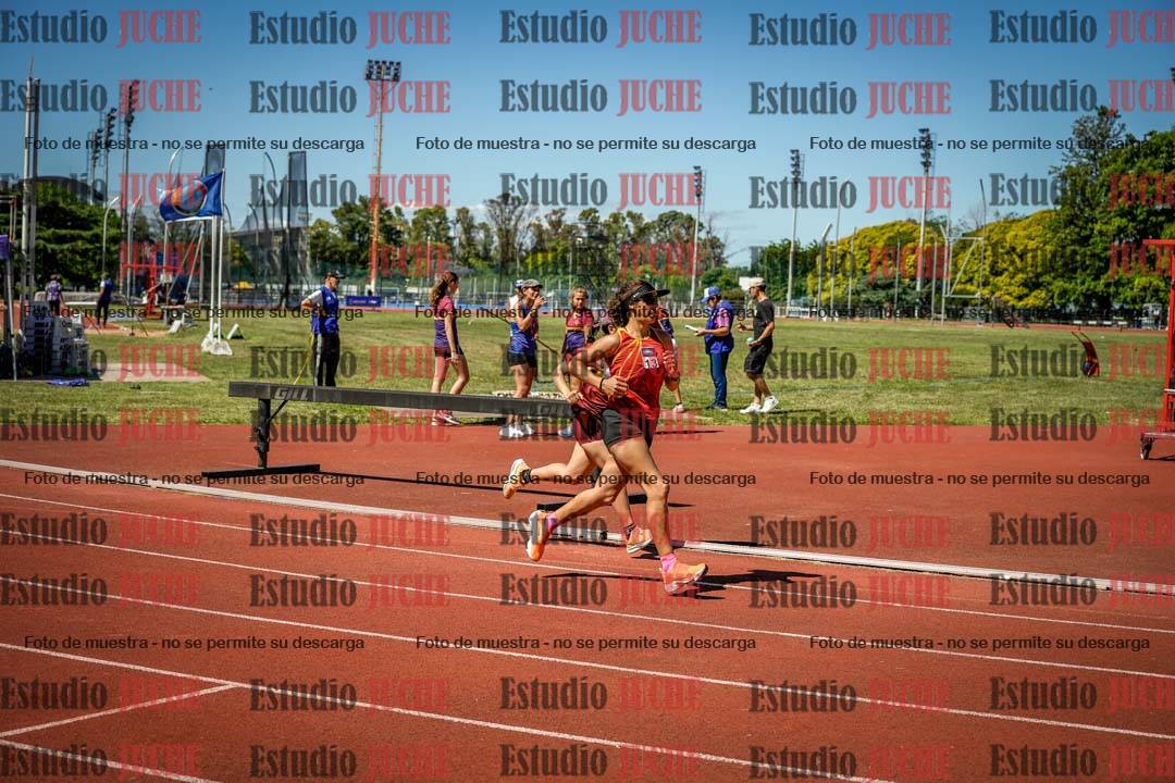 Fotos de los 800 m llanos de mujeres