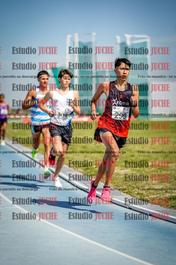 Fotos de los 3000 m llanos de varones