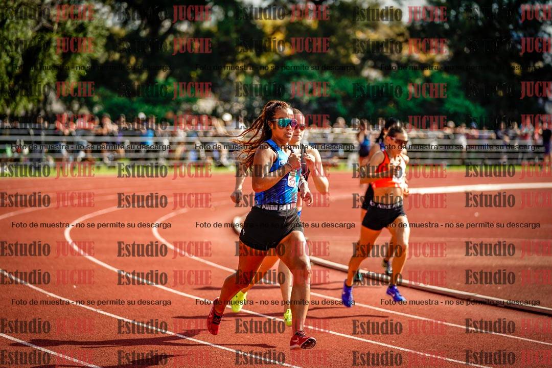 Fotos de los 800 m llanos de mujeres