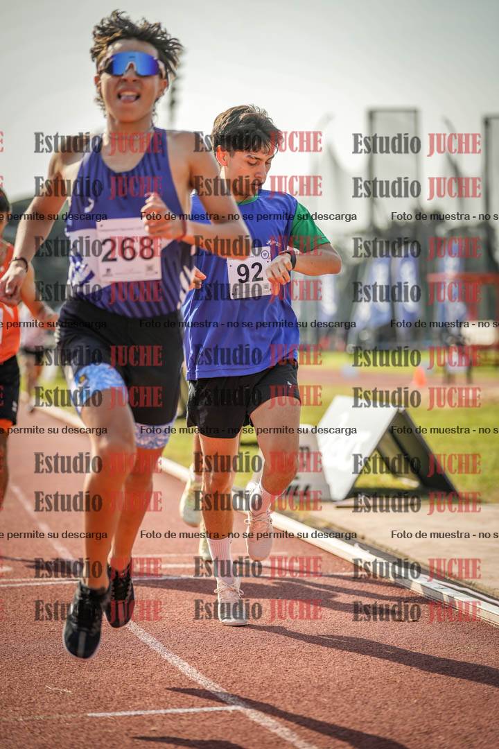 Fotos de los 800 m llanos de varones
