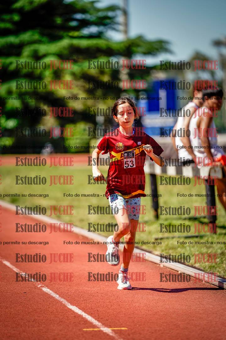 Fotos de los 1000 m llanos de mujeres