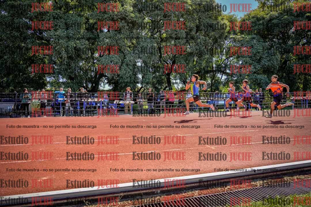 Fotos de los 100 m de varones