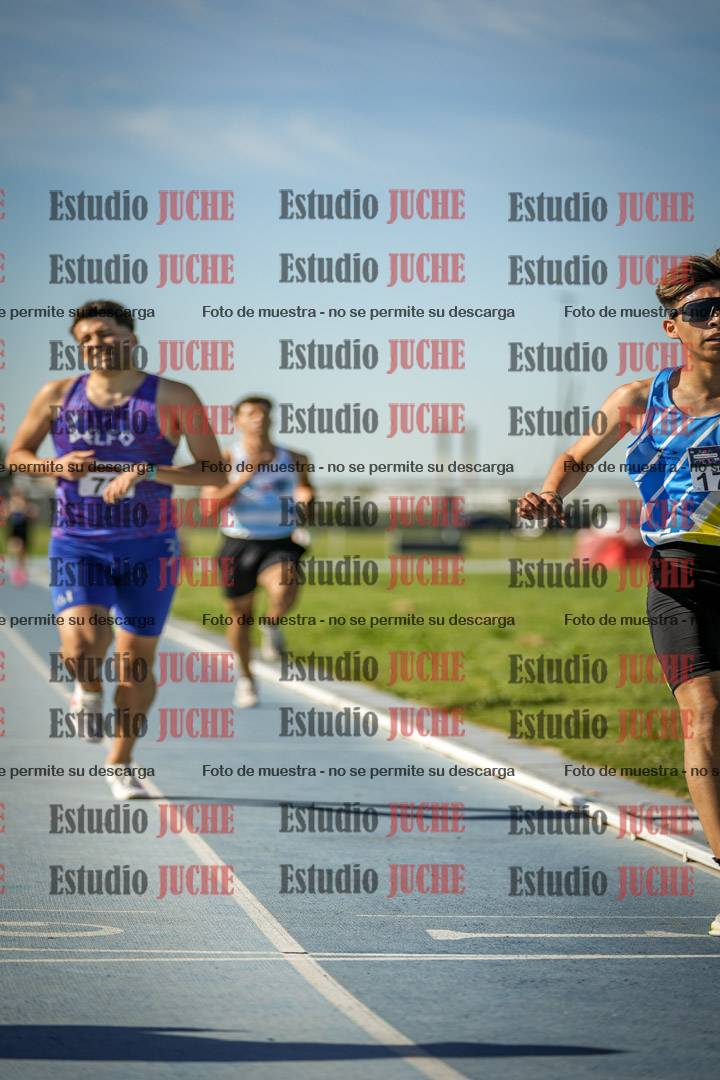 Fotos de los 1500 m llanos de varones
