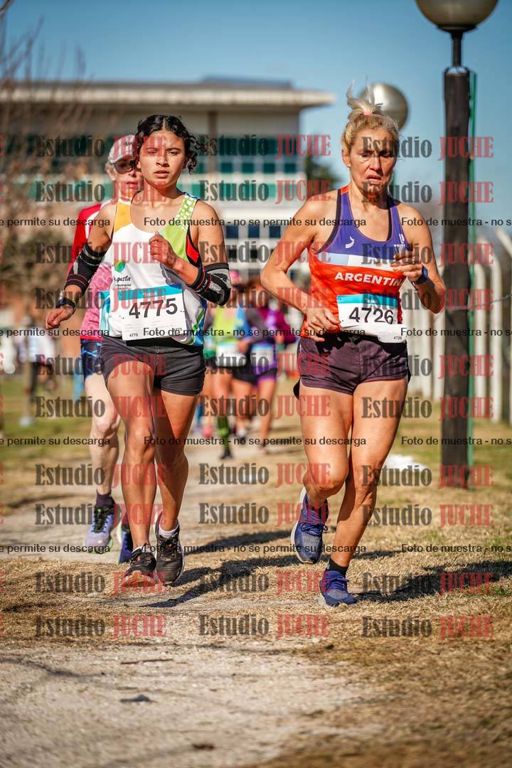 Fotos en el circuito