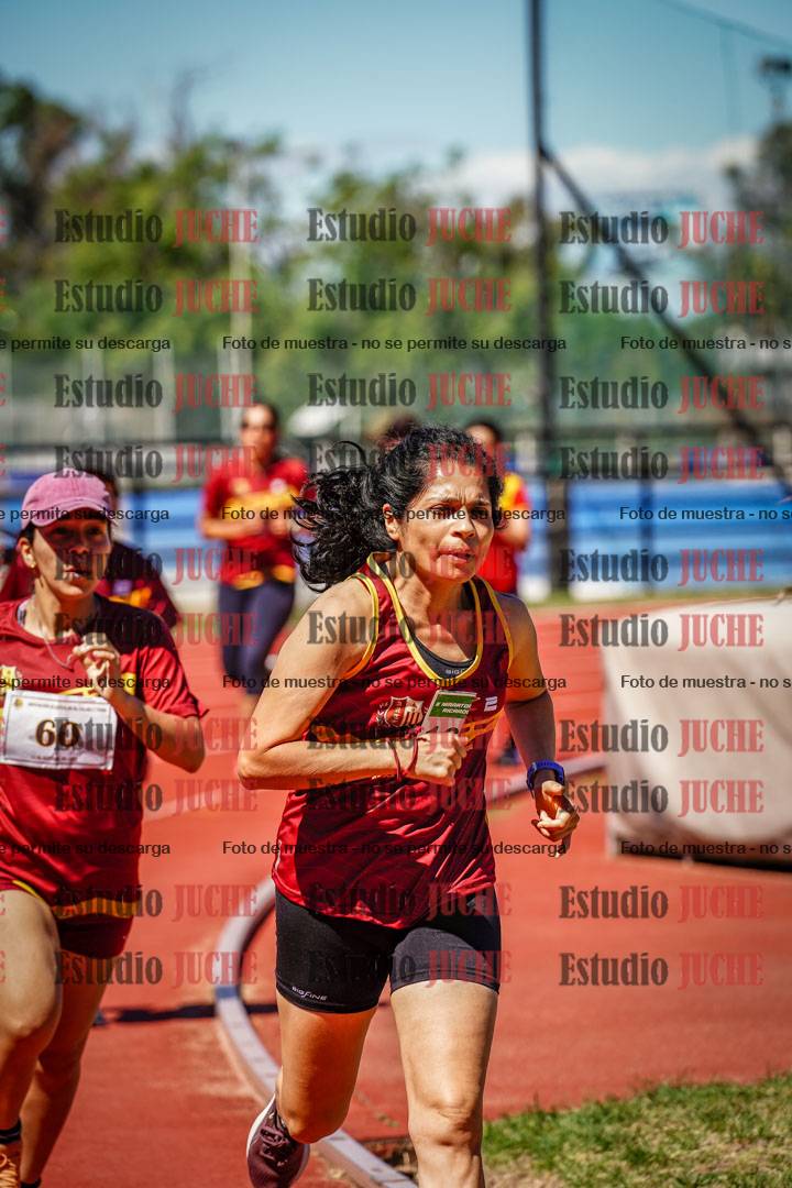 Fotos de los 800 m llanos de mujeres