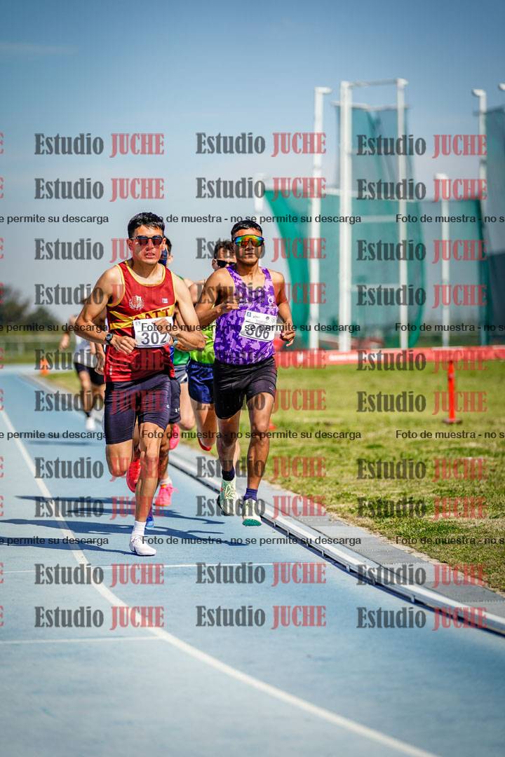 Fotos de los 3000 m llanos de varones