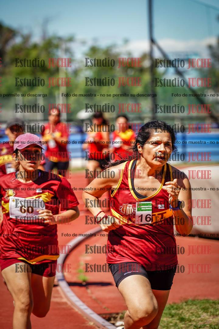Fotos de los 800 m llanos de mujeres
