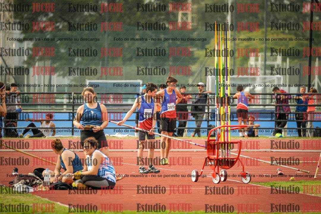 Fotos del salto con garrocha de varones