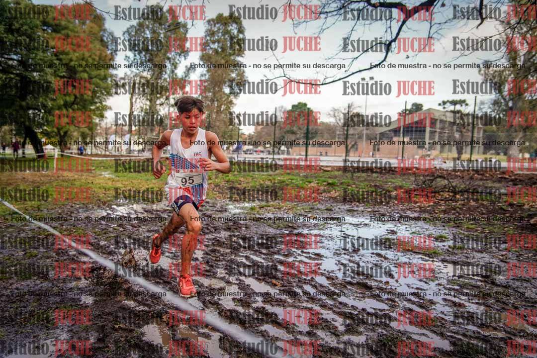 Fotos en el circuito