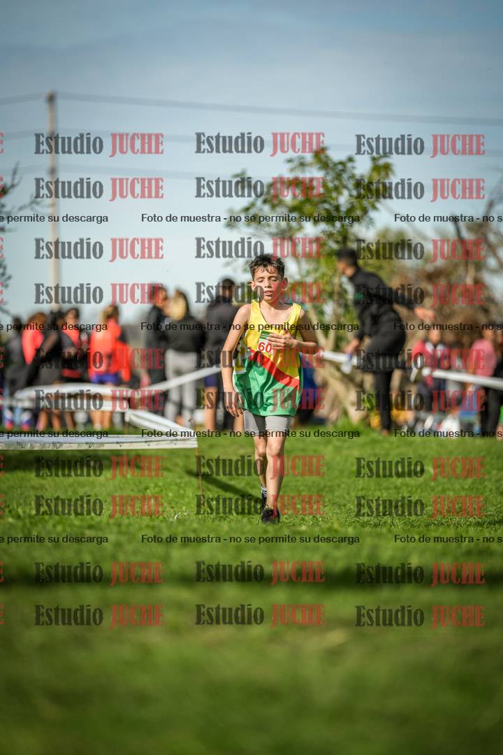 Fotos de la llegada del cross de 1000 m
