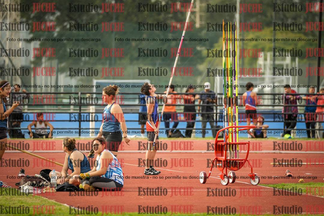 Fotos del salto con garrocha de varones