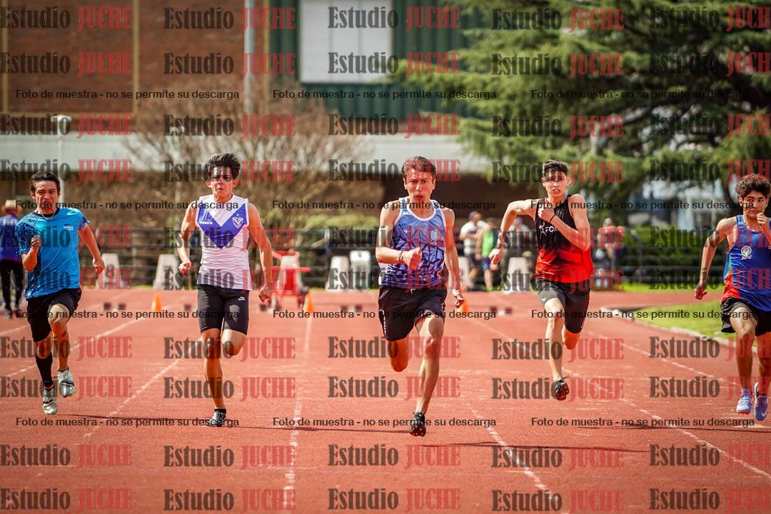 Fotos de los 80 m llanos de varones - FINAL